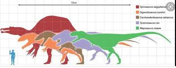 Top 5 Biggest Carnivore Dinosaurs My Boy Rex Is Only 4th Dinosaurs