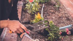 Alibaba.com offers 132,763 garden tool products. Gardener Job Description