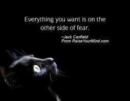 A famous person once said that fear. Life Saying Quotes Everything You Want Is On The Other Side Of Fear Raise Your Mind