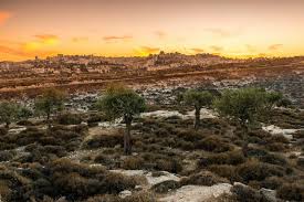 April is an agreeable spring month in bethlehem, west bank, with temperature in the range of an average low of 10°c (50°f) and an average high of 22°c (71.6°f). Bethlehem West Bank Tourist Israel