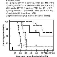 Treatment Of Rats Bearing Orthotopic U87 Tumors With Single