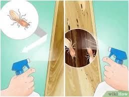 Maybe you would like to learn more about one of these? 5 Ways To Get Rid Of Subterranean Termites Wikihow