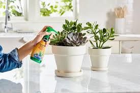 You would think that something labels as garden soil would be something that would grow plants by itself but the directions for miracle gro garden soil say to mix it with other soil 50:50 with the soil in the garden. Best Fertilizers For Houseplants And Garden Plants Martha Stewart