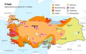 Economy Turkey Agriculture Map Economy Turkey Economy Marketing Jobs
