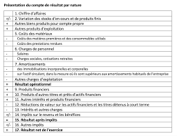 +exercice et coriger compte de resultat par nature. Le Compte De Resultat Par Nature Explique Simplement Ionos