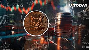 Playplusfree mc mirela a mas ousada e safada do programa