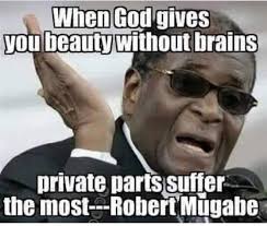 The township is at a gripping abruption. Check Out These 20 Funny Nigerian Proverbs Adages And Sayings Literature Nigeria