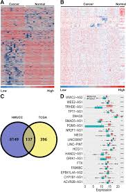 For many, the first sign of breast cancer is a lump in the breast. Landscape Of Tumor Suppressor Long Noncoding Rnas In Breast Cancer Springerlink