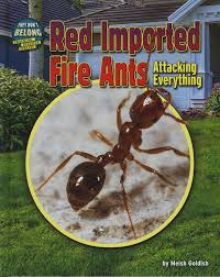 Red Imported Fire Ants Attacking Everything They Don T Belong Goldish Meish 9781627248310 Amazon Com Books Most often, their nests are found.