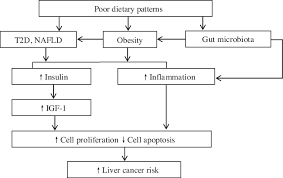 Kidney cancer is one of the 10 most common cancers in the united states. Diet And Liver Cancer Risk A Narrative Review Of Epidemiological Evidence British Journal Of Nutrition Cambridge Core