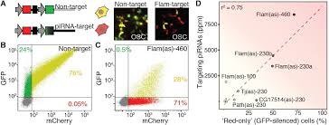 Facebook gives people the power to share and makes the. Cellular Abundance Shapes Function In Pirna Guided Genome Defense Biorxiv
