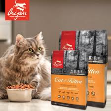 Looking For The Best Cat Food In 2020 Cat Food Dry Cat Food Best Cat Food