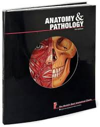 Anatomy And Pathology The Worlds Best Anatomical Charts Edition 5 Other Format