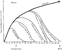 genetic and nongenetic causes of pregnancy loss glowm