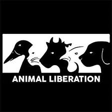 Animal Liberation Front Alf Green Anarchy Poster Freedom Activist T Shirt Animal Liberation Animal Activist Quotes Animal Activism