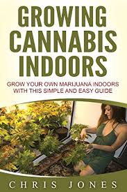 Growing cannabis indoors can reward you with multiple harvests but with climate control at your fingertips, you can have several harvests in a year. Growing Cannabis Indoors Grow Your Own Marijuana Indoors With This Simple And Easy Guide Kindle Edition By Jones Chris Crafts Hobbies Home Kindle Ebooks Amazon Com