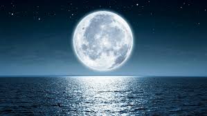 Police in brighton went as far as to employ extra officers during full moons in 2007 after they carried out research which found there was a rise in. The Full Moon Effect How Does The Moon Affect Us Gaia