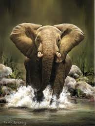 Charging Elephant Colin Bradley Art Colin Bradley Saa Professional Members Galleries Filiz Afrika Fil Vahsi Hayvanlar