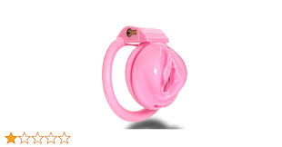 Fredorch Pussy Vaginal Chastity Devices Cage Small Male Bondage Cock Cage  Slave Penis Ring Sex Shop 18+ Gay Ladyboy Sex Toy for Men (small) :  Amazon.ca: Health & Personal Care