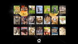 Play full screen, enjoy puzzle of the day and thousands more. Kitty Cat Jigsaw Puzzles On Steam