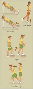 So it is better to do it along with the outdoor exercises like biking. Calf Exercises Definition Purpose Demographics Description