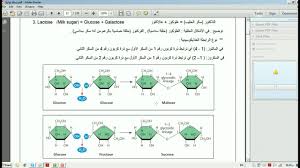 Biology Ch 5 Biological Macromolecules And Lipids Part 1