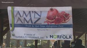 There is a wide variety of dwarf fruit trees that can be grown in pots. Norfolk Residents Receive Free Fruit Nut Trees To Help Increase City S Tree Growth 13newsnow Com