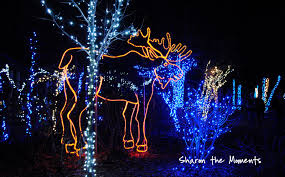 Columbus Zoo Wildlights 2012 Annual Family Tradition Columbus Zoo Zoo Columbus