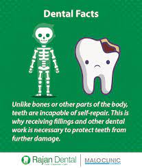 Dental Facts Unlike Bones Or Other Parts Of The Body Teeth Are Incapable Of Self Repair This Is Why Receiving Fill Dental Facts Dental Fun Facts Dental Fun