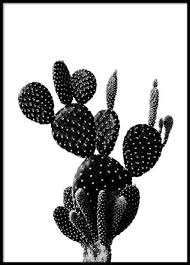 Pin Von Angela Auf Casa Nuova Fotokunst Weisse Fotografie Schwarz Weiss Bilder