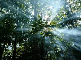 Image result for Sun Exposure