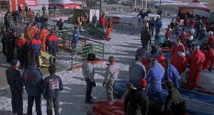 Cool runnings based on a true story, this is the comedic saga of four jamaican athletes going to extremes to compete as bobsled racers at the winter olympics. Cool Runnings Quattro Sottozero 1993 Web Dl 720p Ita Eng 3 11 Gb Hd4me