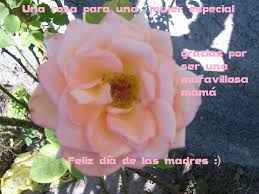 See more of feliz dia de la madre on facebook. Feliz Dia De Las Madres Esp Cio Diverso E Incluyente