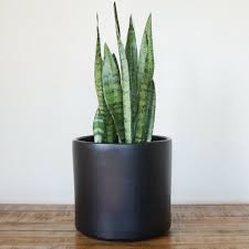 Potey ceramic planter flower plant pot. Cheap Indoor Plant Pot Stands Find Indoor Plant Pot Stands Deals On Line At Alibaba Com