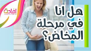 بعد 4 ساعات وسوست وقلت: ÙÙ‚Ø¯Ø§Ù† Ø§Ù„Ø³Ø¯Ø§Ø¯Ø© Ø§Ù„Ù…Ø®Ø§Ø·ÙŠØ© Ù‡Ù„ Ù†Ø²ÙˆÙ„ Ø§Ù„Ø³Ø¯Ø§Ø¯Ø© Ø§Ù„Ù…Ø®Ø§Ø·ÙŠØ© Ù„Ø¹Ù†Ù‚ Ø§Ù„Ø±Ø­Ù… ÙŠØ¹Ù†ÙŠ Ø¨Ø¯Ø§ÙŠØ© Ø§Ù„Ù…Ø®Ø§Ø¶