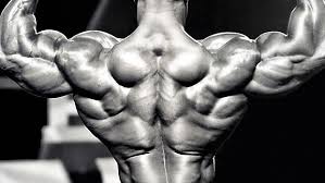 For example, a person who gains muscles relatively easy, but along with them he this way you can determine the right food and exercise strategy for your purposes and somatotype. Building A Bodybuilder Back T Nation