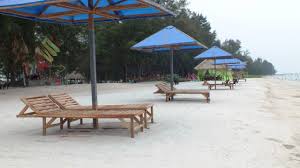 Jaringan hewan merupakan jaringan yang terdiri atas sekumpulan sel hewan. Wisata Archives Laman 10 Dari 11 Semedan Com