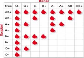 Blood Type Chart Donor And Recipient Blood Type And Donor Chart