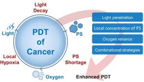 Pdt ended and clocks were set one hour back on sunday, 01 november 2020, at 2:00 (2:00 am) local time. Recent Advances In Photonanomedicines For Enhanced Cancer Photodynamic Therapy Sciencedirect