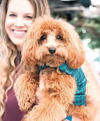 Humane Society Naples' fourth annual Bow Wow Brunch