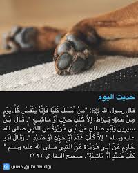 pin by nour nouh on حديث اليوم ahadith jesus is coming jesus lives