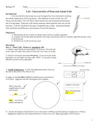 Since animal cells are softer than plant cells, centrioles are required to ensure the chromosomes are in the proper location when the cell divides. Lab Characteristics Of Plant And Animal Cells