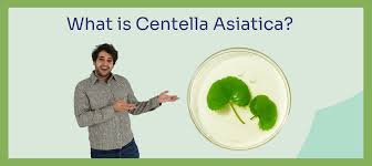 Image result for Centella asiatica