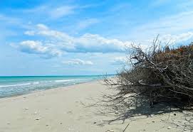 Nonostante le dimensioni ridotte, il molise è noto ai turisti che amano le vacanze di tipo balneare. Spiagge Del Molise Guide Gratis
