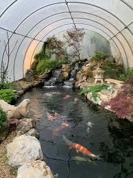 Find the perfect koi pond stock photos and editorial news pictures from getty images. Koi Pond In Winter Preparation Tips And Survival Guide
