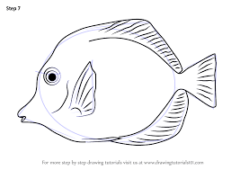 Black And Yellow Fish Drawing Learn How To Draw A Yellow Tang Fishes Step By Step Drawing Tutorials Fish Drawings Tang Fish Drawings