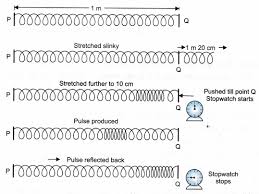 Ncert Class 9 Science Lab Manual Velocity Of A Pulse In Slinky Cbse Tuts