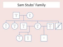 Blood type pedigree mystery lab activity in this lab activity, students will solve a theft crime using their knowledge of pedigrees and the inheritance of traits (like ear lobe attachment and blood type) to create a pedigree of a mystery family. Week 22 Day Two Hw 72 Be Sure That Your Murder Mystery Pedigree Worksheets Are All Complete Warm Up Why Would Somebody Want To Know Their Pedigree Ppt Download