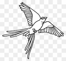The student fills out the. Wisconsin Clipart Wisconsin State Bird Coloring Page Free Transparent Png Clipart Images Download