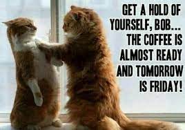 101 Funny Thursday Memes That Work Day And Night To Make You Happy Tomorrow Is Friday Thursday Humor Good Morning Handsome Quotes